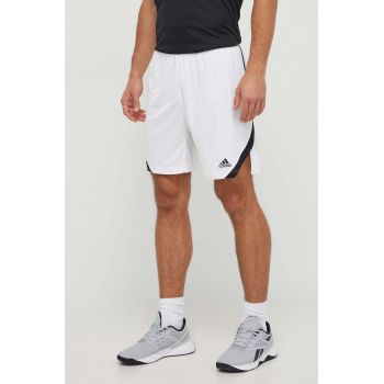 adidas Performance pantaloni scurți de antrenament Icon Squad culoarea alb HI5843 de firma originali