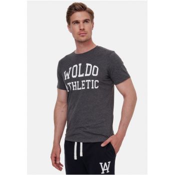Tricou cu imprimeu logo 1965