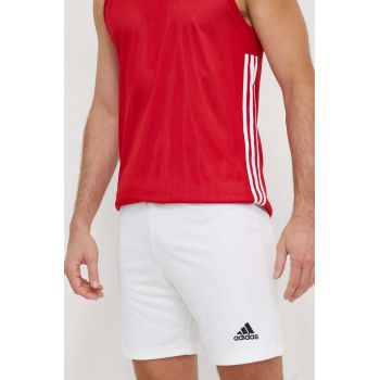 adidas Performance pantaloni scurți de antrenament Entrada 22 culoarea alb HG6295