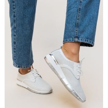 Pantofi Casual Albert Albi
