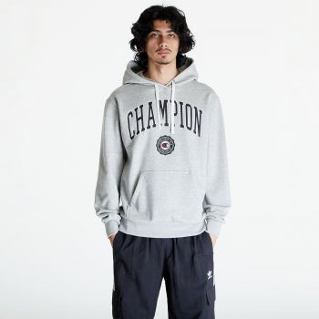 Champion Hooded Sweatshirt Grey ieftin