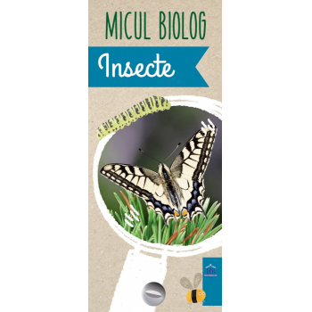 Micul Biolog - Insecte, DPH, 6-7 ani +