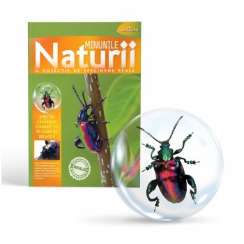MINUNILE NATURII VOL.13 - CARABUSUL DIAMANT MINUNILE NATURII VOL.13 - CARABUSUL DIAMANT