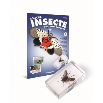 Colectia Insecte din lumea ntreaga - Nr. 12: Lycorma, DeAgostini, 6-7 ani +