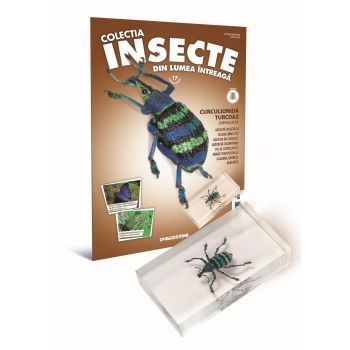Colectia Insecte din lumea ȋntreaga - Nr. 17: Curculionida turcoaz, DeAgostini, 6-7 ani +