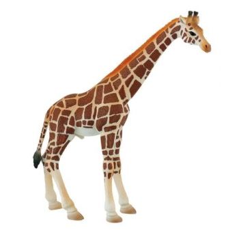 Girafa mascul, Bullyland, 2-3 ani +