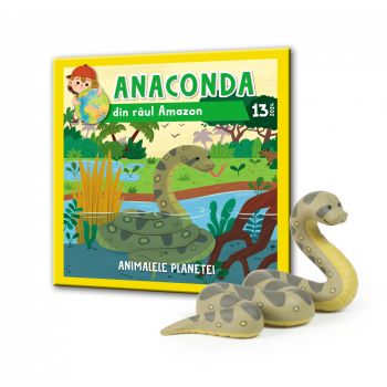 Animalele Planetei Nr.13 - Anaconda din raul Amazon, RBA, 18 luni+