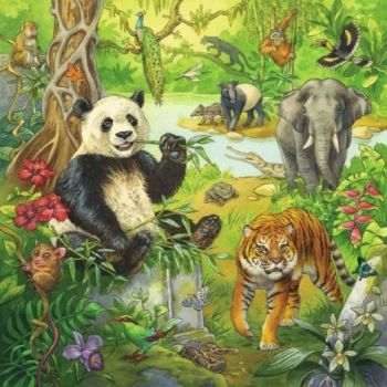 Puzzle Aventuri In Jungla, 3X49 Piese