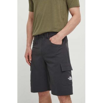 The North Face pantaloni scurți outdoor Horizon culoarea gri, NF0A824D0C51 de firma originali