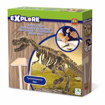 Set de arheologie pentru copii cu dinozaur si accesorii incluse