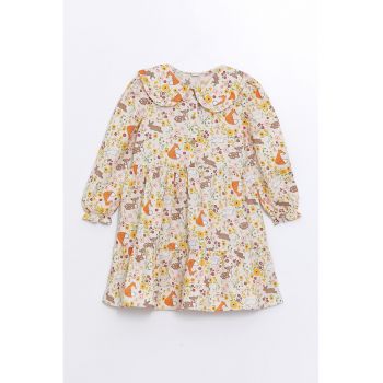 Rochie cu maneci lungi - guler si model