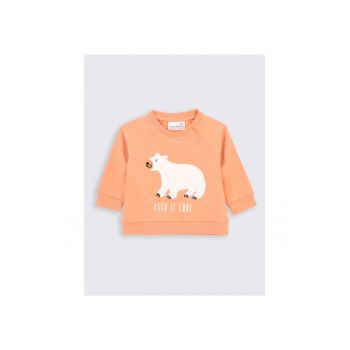 Hanorac Baieti -  303285845 - Bumbac