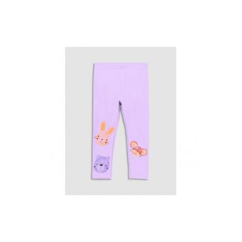 Colanti -  302630417 - Bumbac - Violet