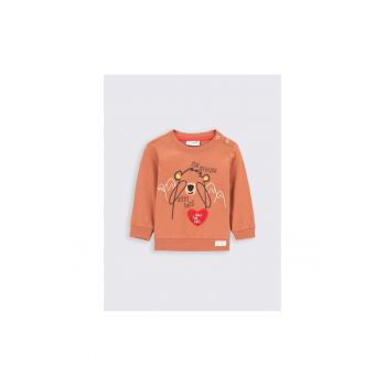 Hanorac Baieti -  301159766 - Bumbac - Maro