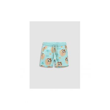 Pantaloni lungi -  302623891 - Bumbac - Elastan - Turcoaz