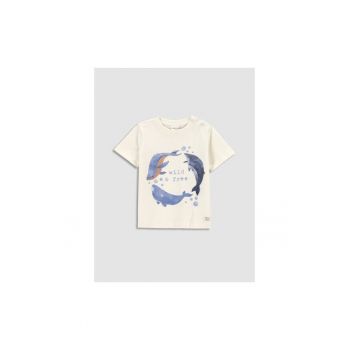 Tricou copii -  302628872 - Bumbac - Elastan - Ecru