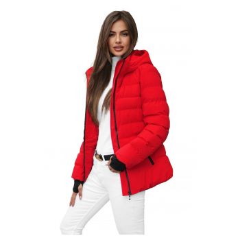 Geaca de iarna femei  JS/M769B