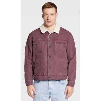 Geaca de blugi barbati -  301578093 - Bumbac - Violet