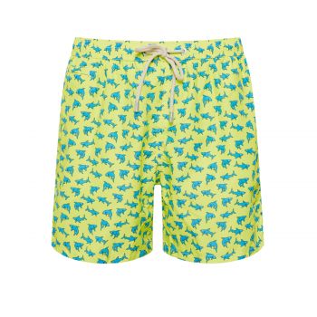 Fantasy shark sight l