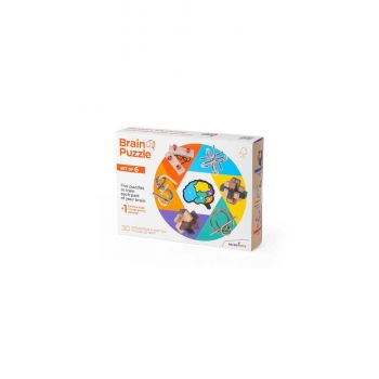 Set de 6 puzzle-uri din lemn si metal de calitate superioara