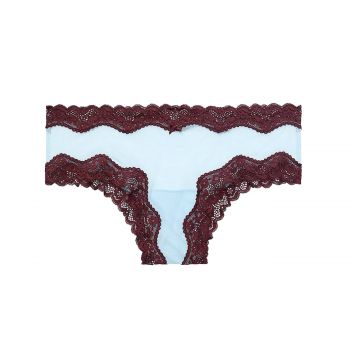 Tease mesh cheeky panties with lace s