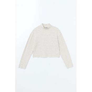 Bluza striata cu guler inalt