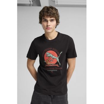 Tricou de bumbac cu decolteu la baza gatului