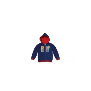 Hanorac maneci lungi AHQ1555