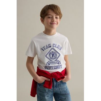 Tricou regular fit cu imprimeu grafic