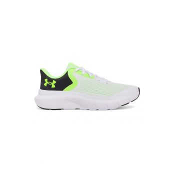 Pantofi pentru alergare BGS Rogue 5