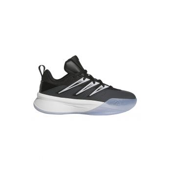 Pantofi pentru baschet Dame Certified 3