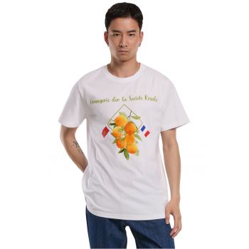 Tricou din bumbac cu imprimeu text si fructe