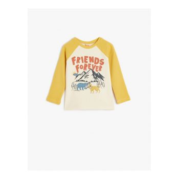 Bluza cu imprimeu grafic si maneci raglan