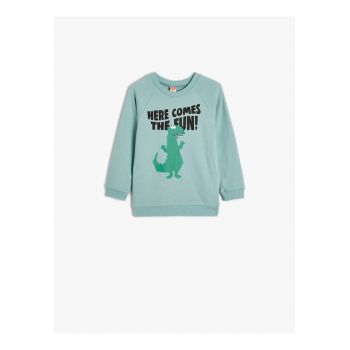 Bluza de trening cu imprimeu si maneci raglan