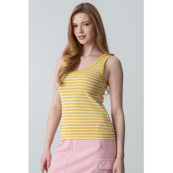 Top cu model in dungi