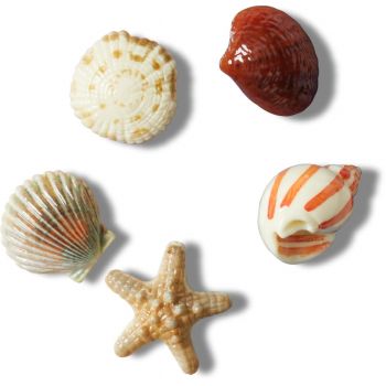 Jibbitz Crocs She Sells Seashells 5 Pack