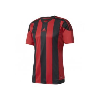 Tricou  Striped 15 pentru barbati 7535