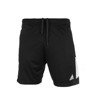 Pantaloni scurti barbati -  Poliester - Negruaqz