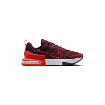 Pantofi pentru antrenament Air Max Alpha Trainer 6