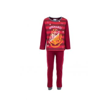 Pijamale lungi pentru copii hp21