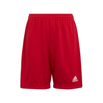 Pantaloni scurti pentru fotbal ENT22