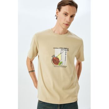 Tricou regular fit cu imprimeu grafic