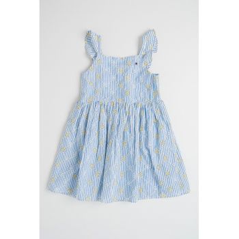 Rochie cu dungi si broderie