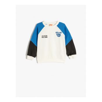 Bluza de trening cu maneci raglan