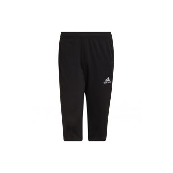 Pantaloni  entrada 22 3/4 panty m - Poliester - Negru