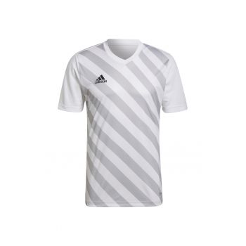 Tricou sport barbati  Entrada 22 - Poliester - Alb/Gri