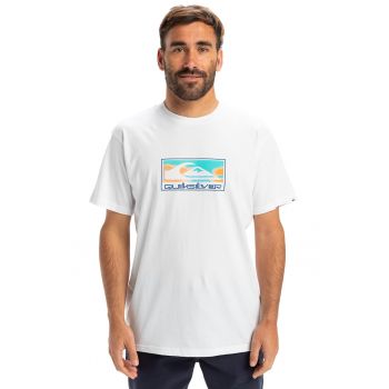 Tricou regular fit cu imprimeu grafic