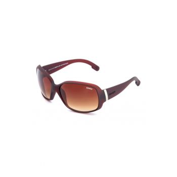Ochelari de soare  Amos X Maro