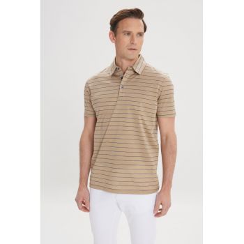 Tricou polo din bumbac cu model in dungi