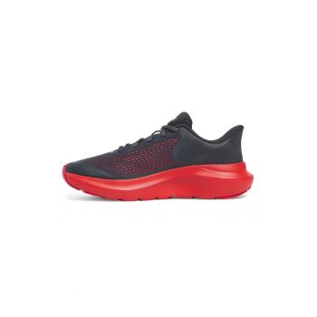 Pantofi pentru alergare BGS Rogue 5